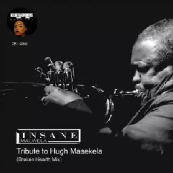 Insane Malwela - Tribute to HughMasekela (Broken Hearth Mix)